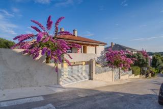 Apartments Josipa - Mali Lošinj - 0
