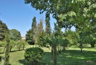 Mas Château Blanc - Avignon - 2