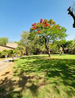 MANVĀR SHERGARH, THE DESERT RESORT - 8