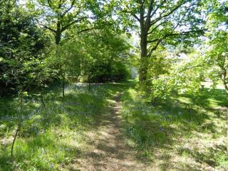 River Cottage a country retreat in wooded gardens - East Stoke - 8