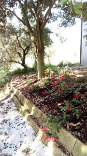 Casale Mongiusti 1961 - 8