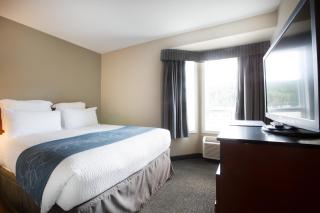 Nomad Hotel & Suites - 2