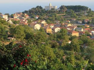 RADICI - 2
