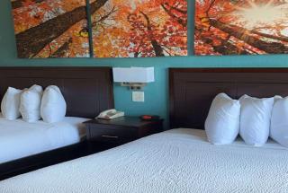 Days Inn & Suites by Wyndham Springfield on I-44 - Springfield - 8