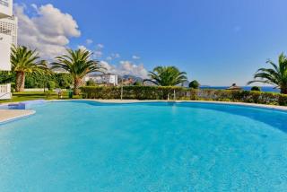 Las Palmeras - 7