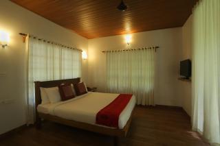 Palmgrove Lake Resort - Alleppey - 3