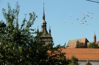 Cosbuc Residence & Villa - Sighişoara - 8