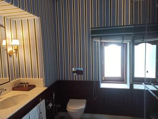 The Jaipur House - Mount Abu - 8