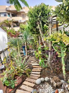 Apartamento Diamar - Corralejo - 6