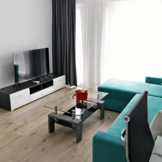 Whisper I 1 BR apt in Aviatiei with free parking - Bucharest - 7