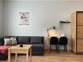 Apartament Górna 33 - Łódź - 5