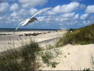 Duene-47 - Borkum - 1