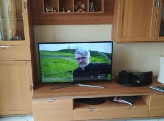 Seestern - Borkum - 5