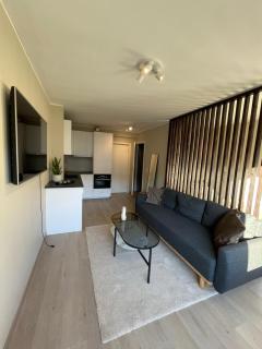 Modern apartment ONLY 5 minutes from City Centre - Bergen - 7