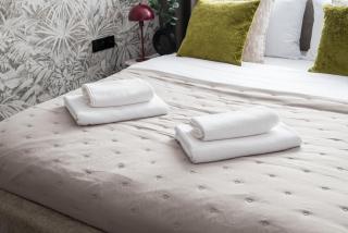 City Centre Deluxe Apartment by BookingHost - 8