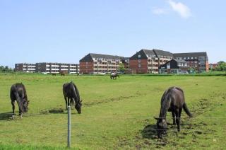 Ubbens - Borkum - 0