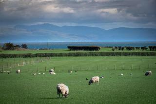 Ty Bach, Llanbedrog - Pwllheli - 0