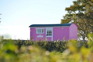 The Outbuildings - Newborough - 5