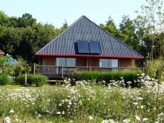 Cerza Safari Lodge - Hermival-les-Vaux - 7