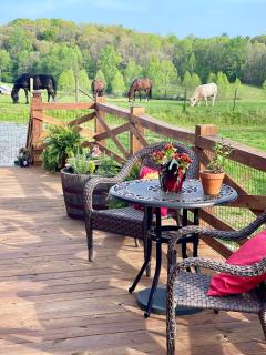 The Dogwood Inn - Blue Ridge - 5