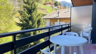Ramuge A 045 - COSY apartment 4 pers - 2