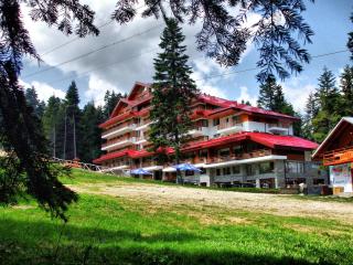 Musala Hotel - Borowez - 3