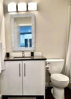 Modern & Luxurious Private Suite in Regina - Regina - 6