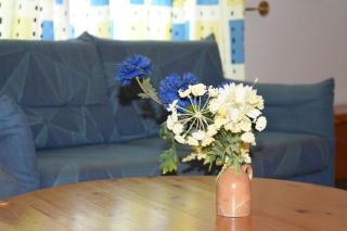 Leuchtblick-Adamy - 9