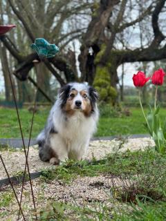Le SAN - Chambre d'hôtes INCLUSIVE & ÉCORESPONSABLE - 3