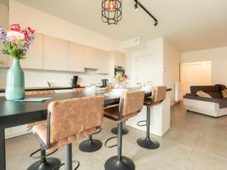 Apartment Exquise with two terraces by Interhome - Blankenberge - 1