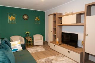 Green Vetiver Apartment - Sibiu - 9