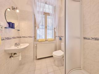Apartment Villa Belvedere-3 by Interhome - Janské Lázně - 5