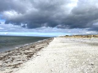 Holiday Home Dalia - 525m from the sea by Interhome - Nykøbing Sjælland - 4