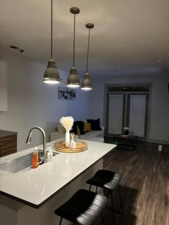 Luxuristay apartment in Atlanta - Atlanta - 4