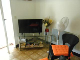 Studio cosy à Amélie-les-Bains, 32 m², vue montagne - 8