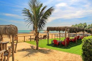 Bamboo Paracas Hotel - Paracas - 9