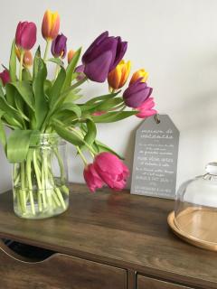 Cocon vert proche mer - 5