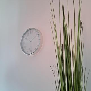 Ferienwohnung Paulus - Albstadt - 6