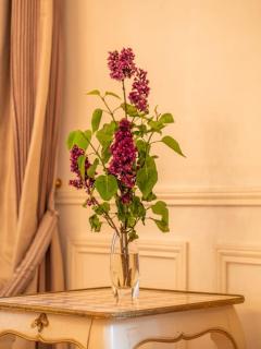 Appartement Haussmannien Auteuil - Paris - 6