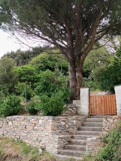 So Simple Guest House,Mouresi - Mouresi - 9