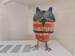 The Owl House - Sedgefield - 1