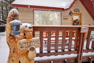 Knotty bear #1540 - Big Bear Lake - 6
