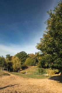 Domaine Abbey-Rose - Champsac - 5