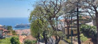 Villa City - Funchal - 4