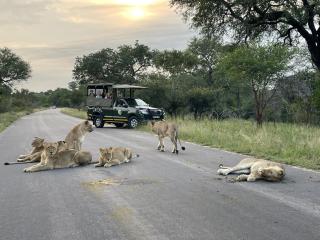 Umbhaba Eco Lodge - Hazyview - 3