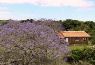 Aldeia Santuario das Aves - Tavares - 9