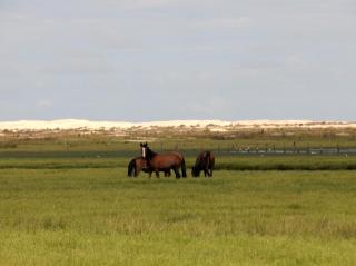 Aldeia Santuario das Aves - 7