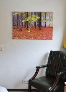 Ferienwohnung Am Bollenbach - 2