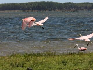 Aldeia Santuario das Aves - 9