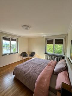 Albert-Schulte-Park Apartment- Worms - Worms - 4